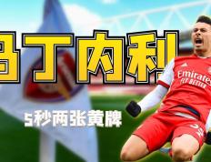 PG电子官方-荷兰绝杀哥伦比亚，马丁内利带队取胜